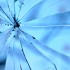 shattered