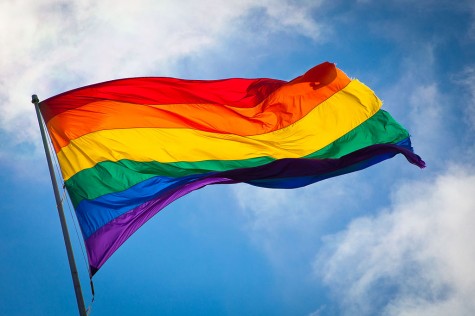 LGBT sexual education push