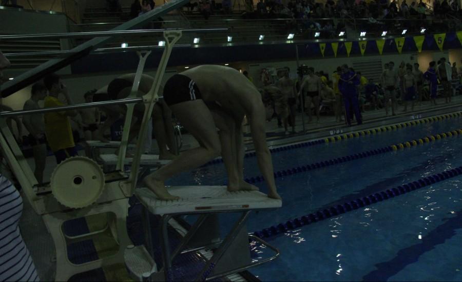 Sean Schafer 15 prepares to dive off of the starting block