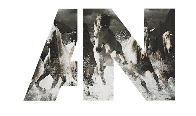 Album Review: "Run"