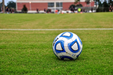 Committed Athletes: Selected Quotes