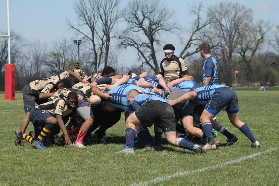 The Bulls (blue) and Noble (tan) scrummage during their match at the Chicago Blaze rugby pitch on April 11. Credit: Alex Kimberling