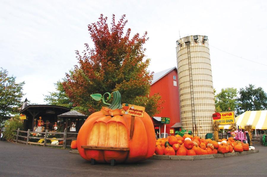 Bengston's Pumpkin Fest: fun for all ages