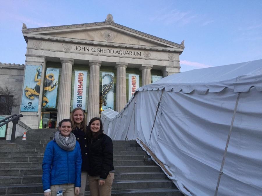 Students work at Shedd Aquarium