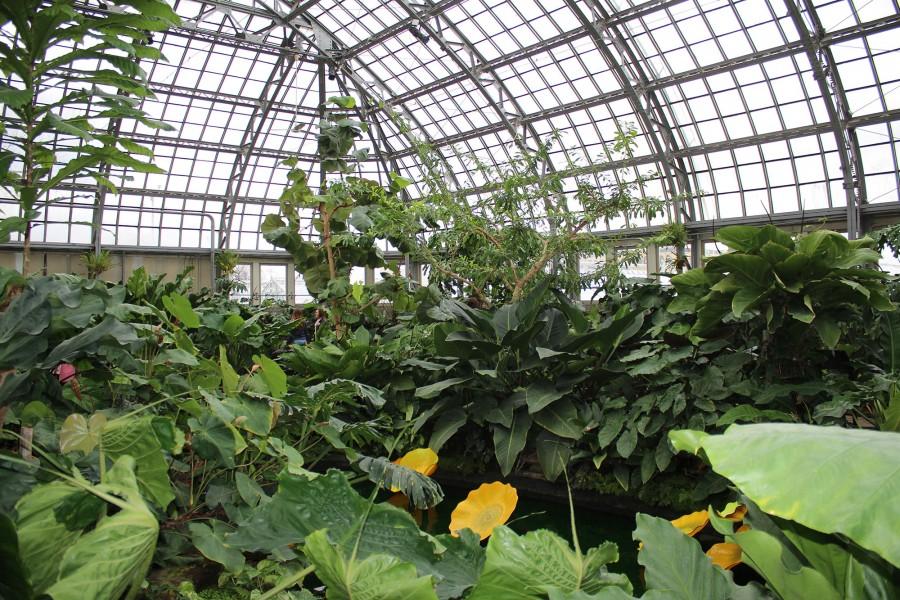 Garfield Park Conservatory (Tim Mikulski).