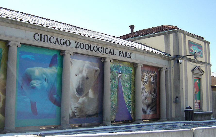 Brookfield Zoo opens new rink