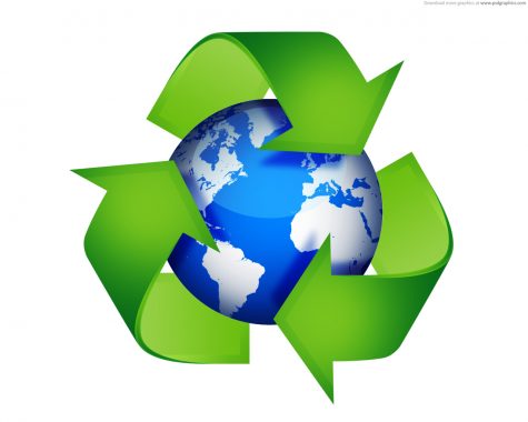 Contaminated recycling bins causing problems
