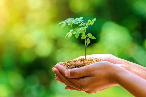 Environmental club reinstated