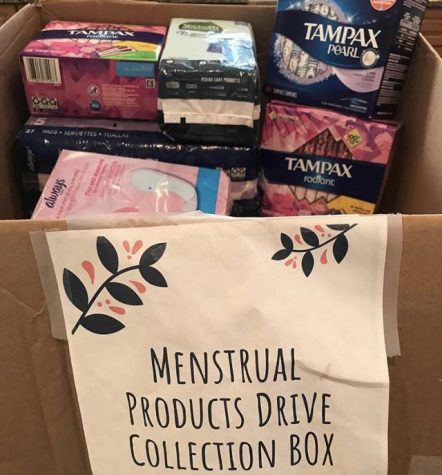 Sophia Schultz's box of donations (Sophie Draluck)