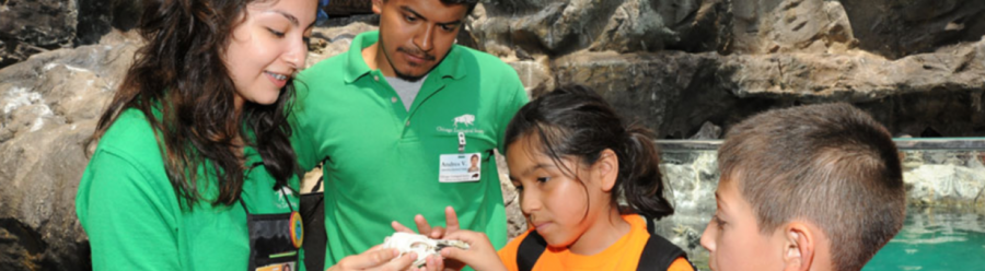 King Conservation Science Scholars showing fossils at Brookfield Zoo
Picture from the Brookfield Zoo Website
