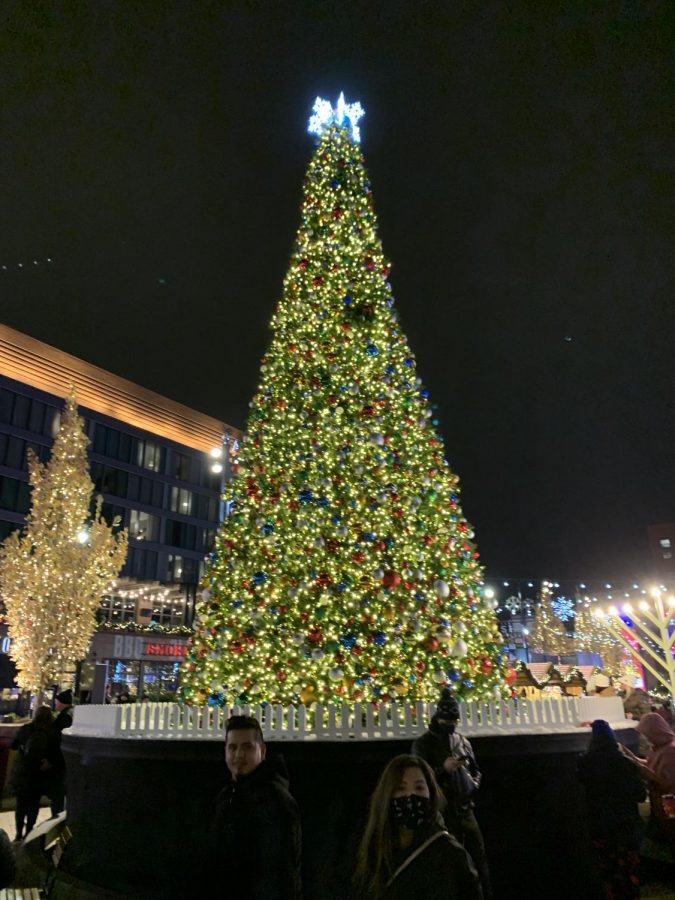 Christmas tree featured in the market (Whelton/LION).