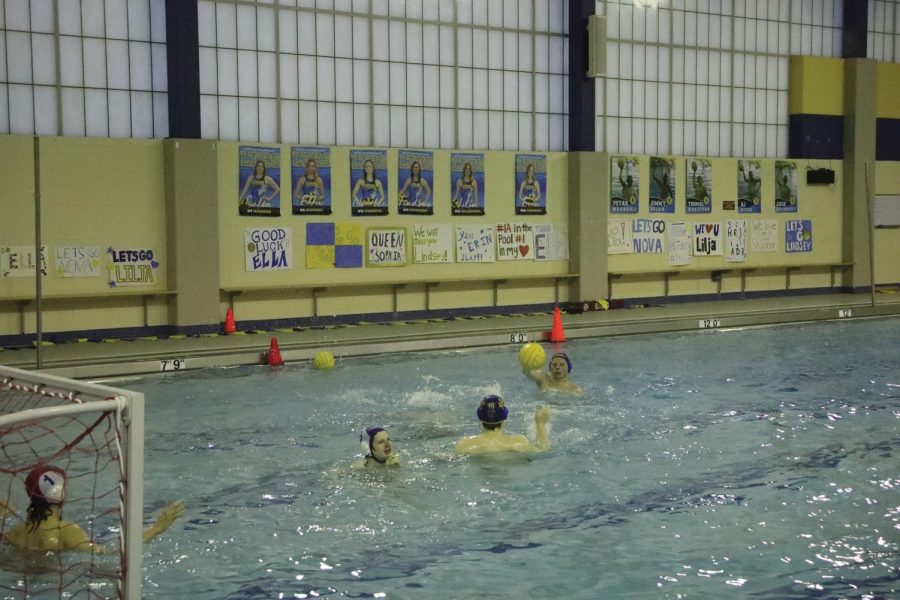 Water+polo+players+practice+ball+handling+and+shooting+skills+on+April+20+%28Simek%2FLION%29.