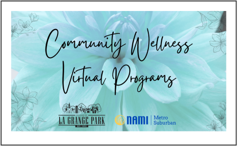 Electronic flyer for series of wellness programs (photo courtesy of the Village of La Grange Park).  