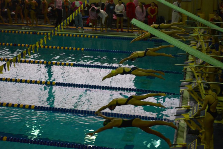 Swimmers dive into the 200M freestyle relay at the LT Relay invite on September 10th, 2022 (Garrity/LION).