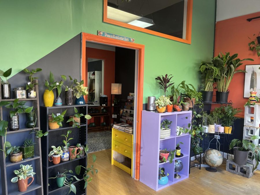 The opening room of Vines and Vinyls, capturing the plant selection available for purchase (Cummings/LION)