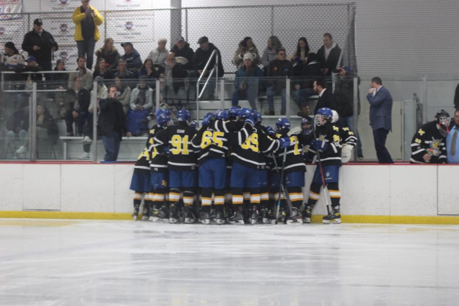 LT+Varsity+hockey+team+discusses+strategy+during+timeout+at+Willowbrook+Ice+Arena+on+Nov.+14+against+Hinsdale+Central+High+School+%28Davis%2FLION%29.+