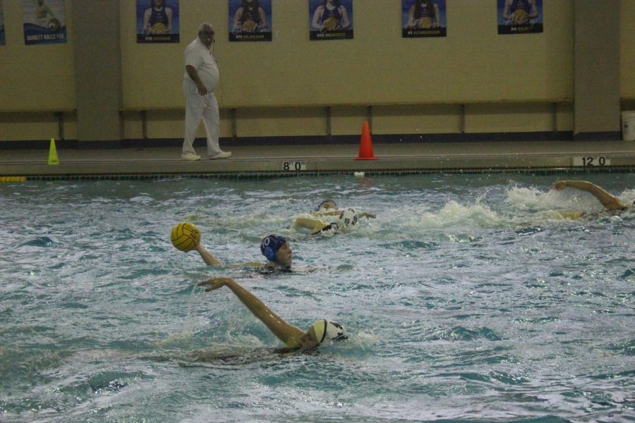 Evie Reinisch ‘23 scans the pool in preparation of a shot on April 27 against Waubonsie Valley High School (Burke/LION)