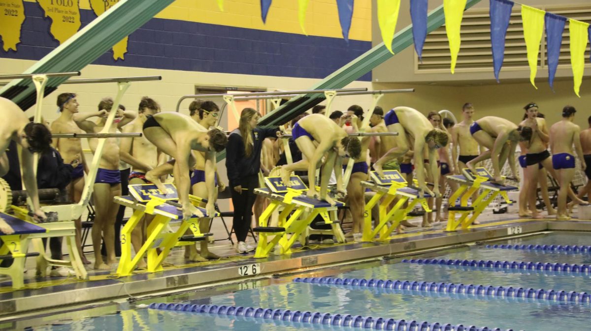 LT+varsity+swimmers+take+their+mark+during++the+blue+and+gold+meet+on+Nov.+27+at+the+SC+pool+%28Fouliard%2FLION%29.+