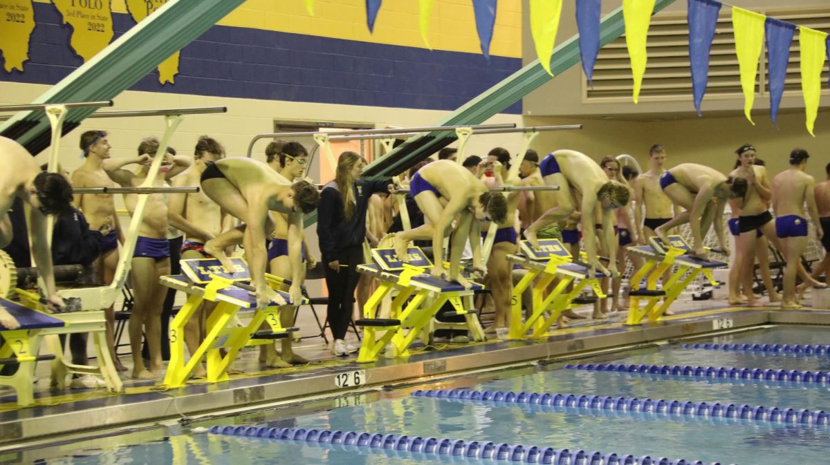 LT varsity swimmers take their mark during  the blue and gold meet on Nov. 27 at the SC pool (Fouliard/LION). 