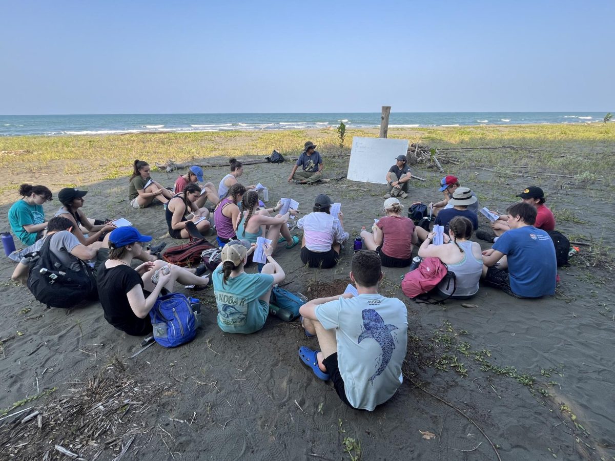 Students gather on the beach to learn about the Leatherback turtle (Photo courtesy of Angela Patel). 