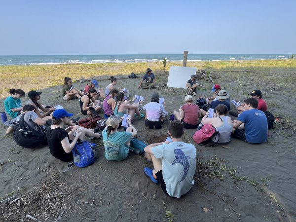Students gather on the beach to learn about the Leatherback turtle (Photo courtesy of Angela Patel). 